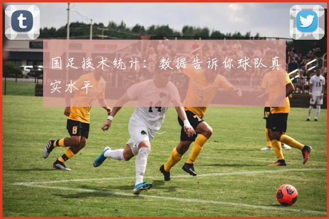 国足技术统计:数据告诉你球队真实水平